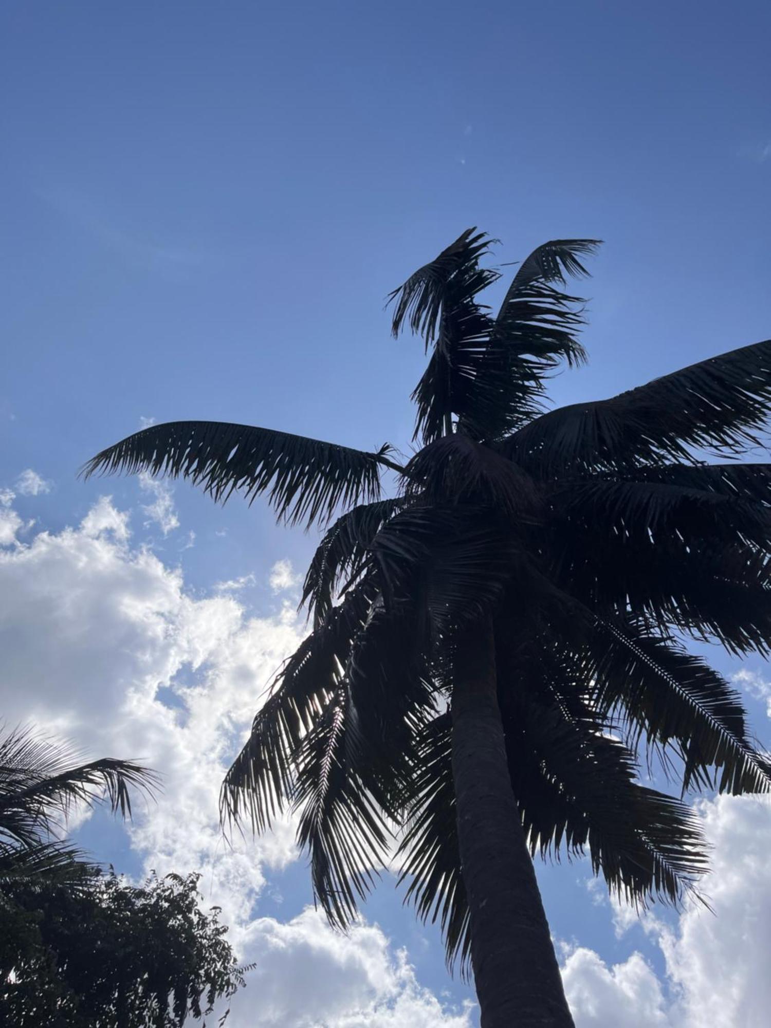 Crystal Bay Hotel Arugam Bay Luaran gambar